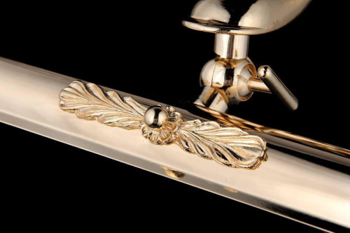 Подсветка для картин Maytoni Raphael PIC113-02-G