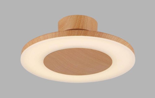 Потолочный светильник Mantra Discobolo 4495