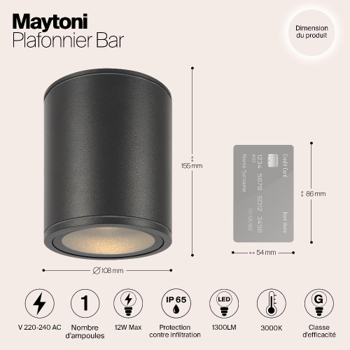 Уличный светодиодный светильник Maytoni Bar O306CL-L12GF