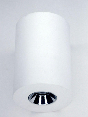 Потолочный светодиодный светильник Elvan NLS-210067-4.2W-WW-WhCh