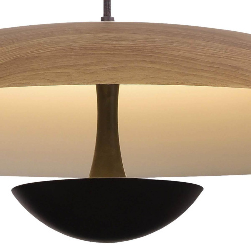 Подвесной светильник Lumien Hall Arta 8007/1PL-WD Подвесной светильник Lumien Hall Arta 8007/1PL-WD