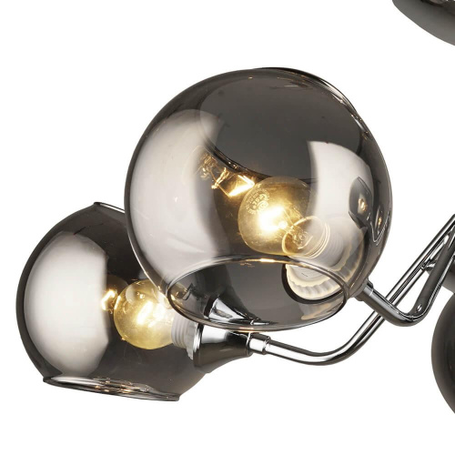 Потолочная люстра Wedo Light Клоэ 66013.01.03.05