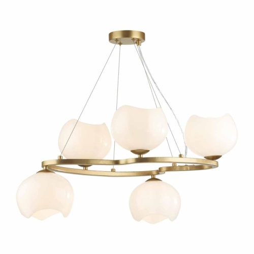 Подвесная люстра Odeon Light Modern Waterlily 4873/5