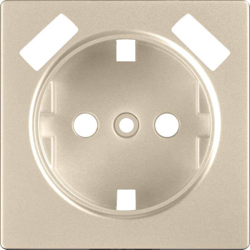Лицевая панель Werkel розетки USB шампань WL11-USB-CP 4690389124693