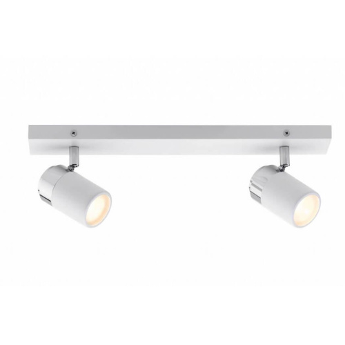 Спот Paulmann Zyli 66711