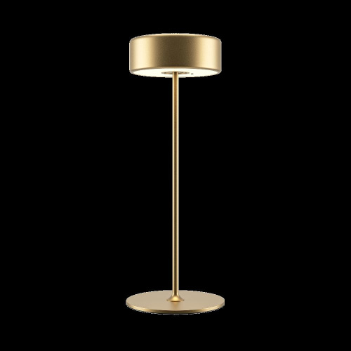 Аккумуляторный светильник Maytoni MOD229TL-L3G3K2