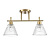 Потолочная люстра Lumion Comfi Vivian 8188/2C