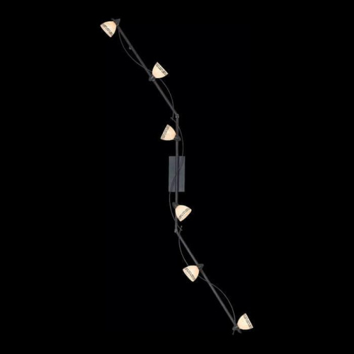 Спот Globo Roma 5684-6