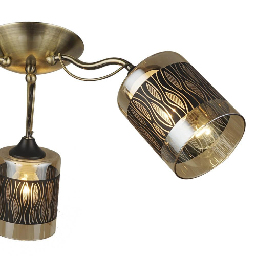 Потолочная люстра Wedo Light Floretta 66611.01.37.03