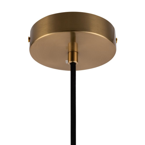 Подвесной светильник Freya Zelma FR8012PL-01BS