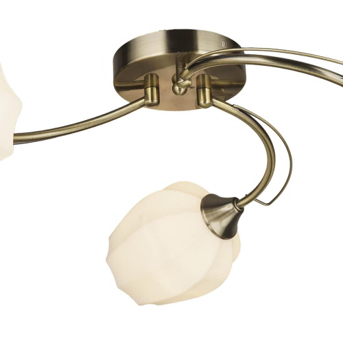 Потолочная люстра Wedo Light Shajena 66593.01.05.03