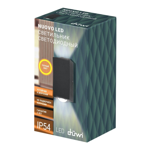 Уличный настенный светодиодный светильник Duwi Nuovo LED 24350 2