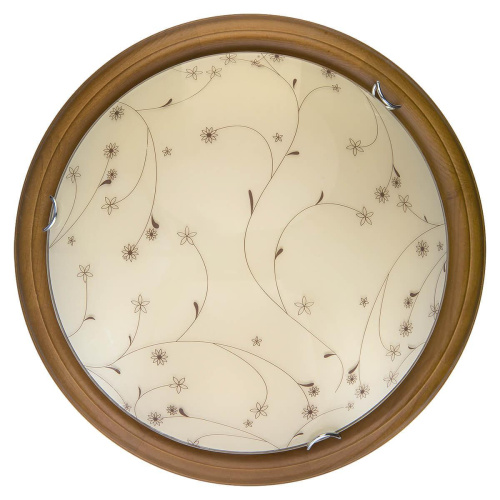 Настенно-потолочный светодиодный светильник Toplight Karissa TL9650Y-00OA