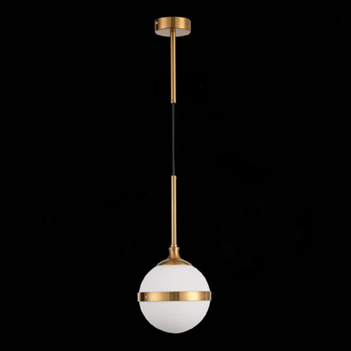 Подвесной светильник ST Luce Arbe SL1157.303.01