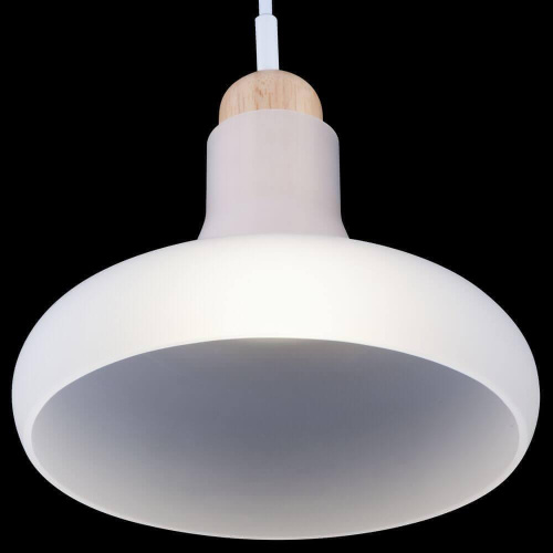 Подвесной светильник Maytoni Ola P016PL-01W