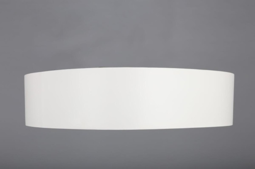 Потолочный светодиодный светильник Omnilux OML-45207-51