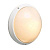 Потолочный светильник Deko-Light Bing 341763