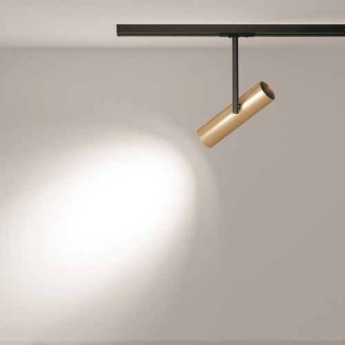 Трековый светильник Maytoni Track Lamps TR005-1-GU10-BG Трековый светильник Maytoni Track Lamps TR005-1-GU10-BG