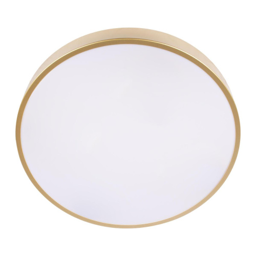 Потолочный светодиодный светильник Loft IT Flims 10228/A Потолочный светодиодный светильник Loft IT Flims 10228/A