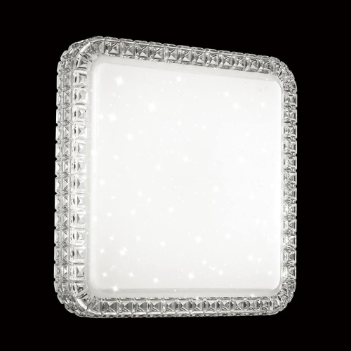 Настенно-потолочный светодиодный светильник Sonex Pale Karola 2035/CL