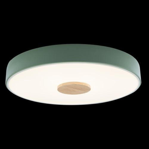Потолочный светодиодный светильник Loft IT Axel 10003/24 green Потолочный светодиодный светильник Loft IT Axel 10003/24 green
