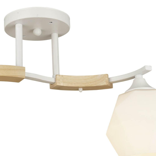 Потолочная люстра Wedo Light Lalio 66587.01.09.02