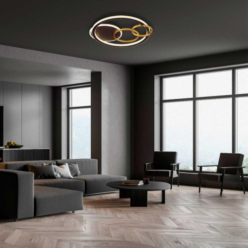 Потолочная люстра Lumion Ledio Breno 5245/68CL