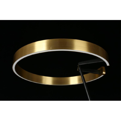 Торшер Aployt Leonn APL.653.05.30