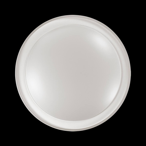 Настенно-потолочный светодиодный светильник Sonex Pale Kabrio 2049/EL