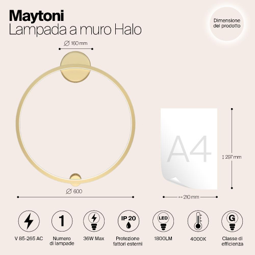 Настенный светильник (бра) Maytoni MOD005WL-L22BSK1