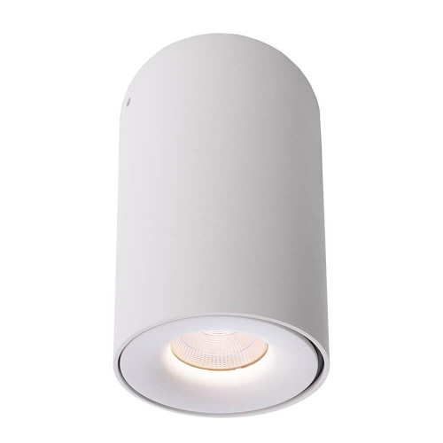 Накладной светильник Deko-Light Bengala LED 348029