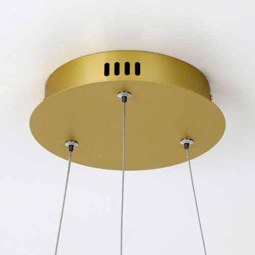 Подвесной светодиодный светильник Favourite Giro 2937-6P Подвесной светодиодный светильник Favourite Giro 2937-6P