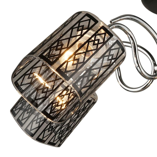 Потолочная люстра Wedo Light Kamerano 66433.01.13.05