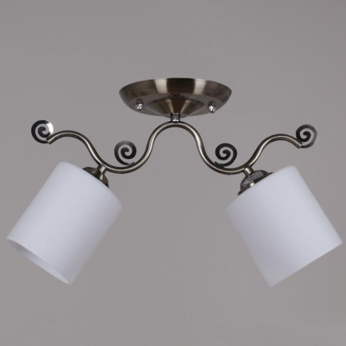 Потолочный светильник Reluce 31412-0.3-02 Потолочный светильник Reluce 31412-0.3-02