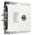 Розетка Werkel TV/RJ-45 6 кат белый W1181301 4690389174414