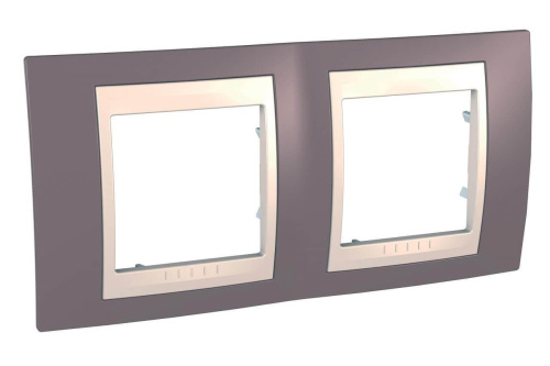 Рамка 2-постовая Schneider Electric Unica Хамелеон MGU6.004.576