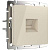 Розетка Werkel Ethernet RJ-45 слоновая кость WL03-RJ-45-ivory 4690389046261