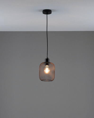 Подвесной светильник Moderli Olivia V11034-1P