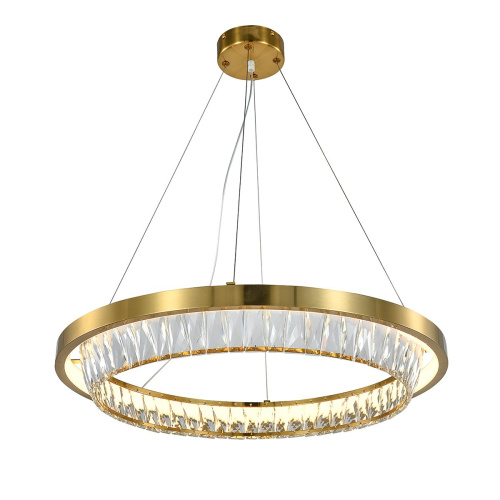 Подвесной светодиодный светильник Indigo Riva 12045/1P Brass V000102L Подвесной светодиодный светильник Indigo Riva 12045/1P Brass V000102L