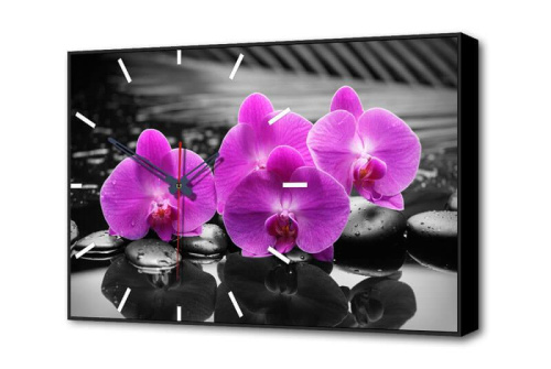 Настенные часы Магия Орхидей Timebox Toplight 37х60х4см TL-C5017