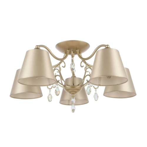 Потолочная люстра Evoluce Rimonio SL1135.102.05