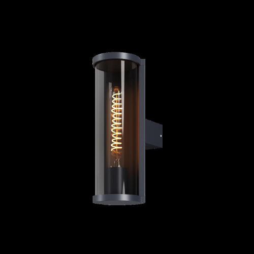 Настенный светильник (бра) Outdoor O451WL-01GF