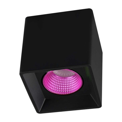 Потолочный светильник Denkirs DK3020BPI DK3080-BK+PI Потолочный светильник Denkirs DK3020BPI DK3080-BK+PI