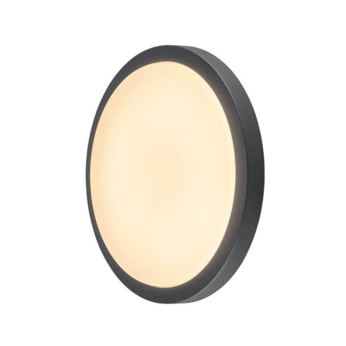 Потолочный светодиодный светильник SLV Ainos 229965