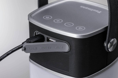 Переносной светодиодный фонарь Paulmann Accu Tablelamp Clutch от аккумулятора 150х95х95 94211