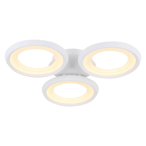 Потолочный светодиодный светильник Freya Blis FR6010CL-L51W
