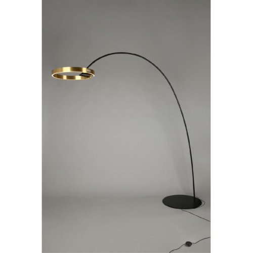 Торшер Aployt Leonn APL.653.15.30