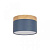 Накладной светодиодный светильник Loft IT Grape 10162 Blue