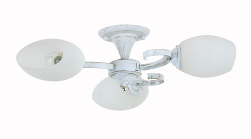 Потолочная люстра Rivoli Vitto 9011-303 Б0044464