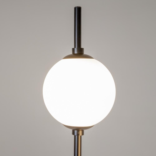 Торшер Maytoni The Sixth Sence Z020FL-L12BK Торшер Maytoni The Sixth Sence Z020FL-L12BK